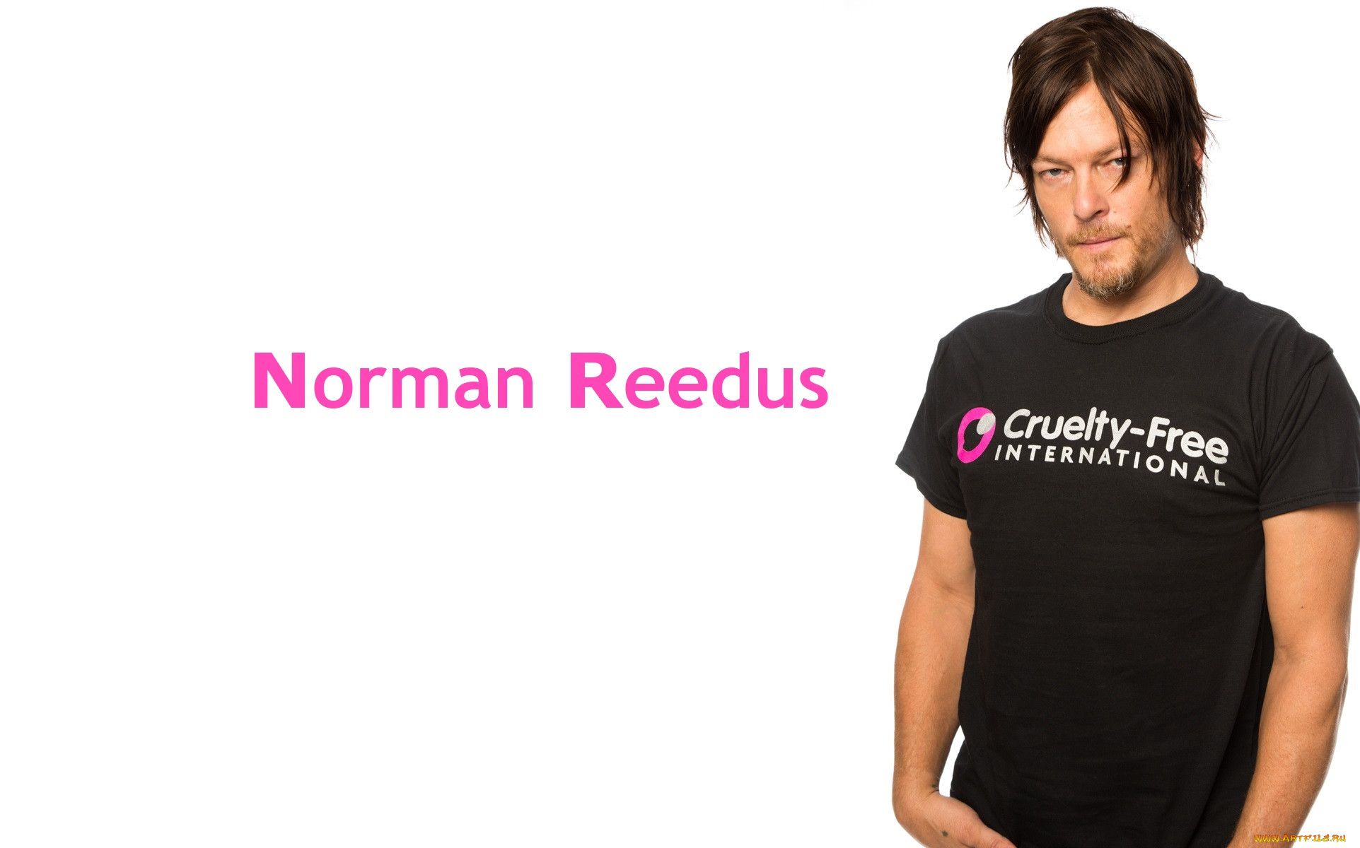 , norman reedus, norman, reedus